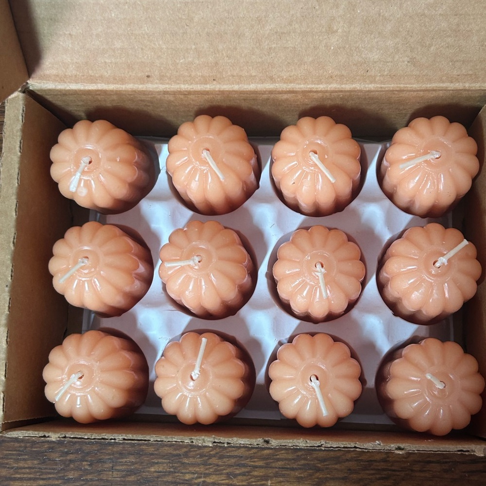 Home Interiors Rose‎ Petal Scented Candles 12 Votives Discontinued 11075 NOS